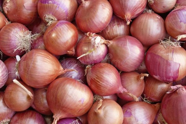 Kraken 16 onion